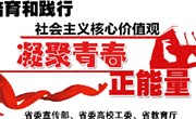 “培育和践行社会主义核心价值观,凝聚青春正能量”网络系列活动方案