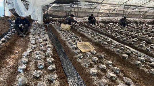 0e7d43c6039441938a41827e841bed48.png 0e7d43c6039441938a41827e841bed48.png