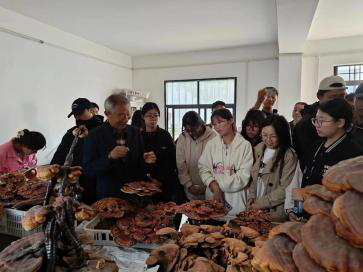 cff465cb61254169a68f33f4eda3de35.png cff465cb61254169a68f33f4eda3de35.png