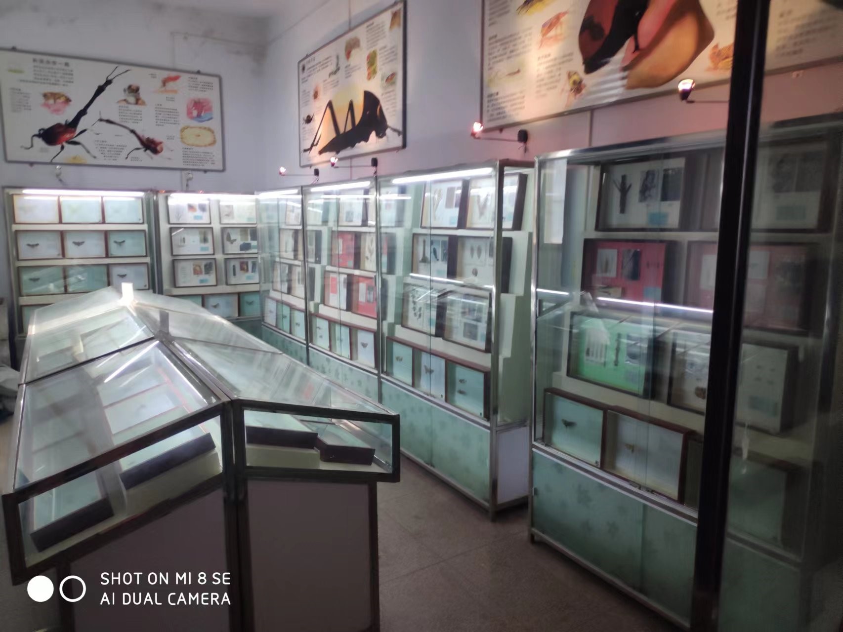 030593418055437d8f17fd0cdd6a7994.jpg 030593418055437d8f17fd0cdd6a7994.jpg