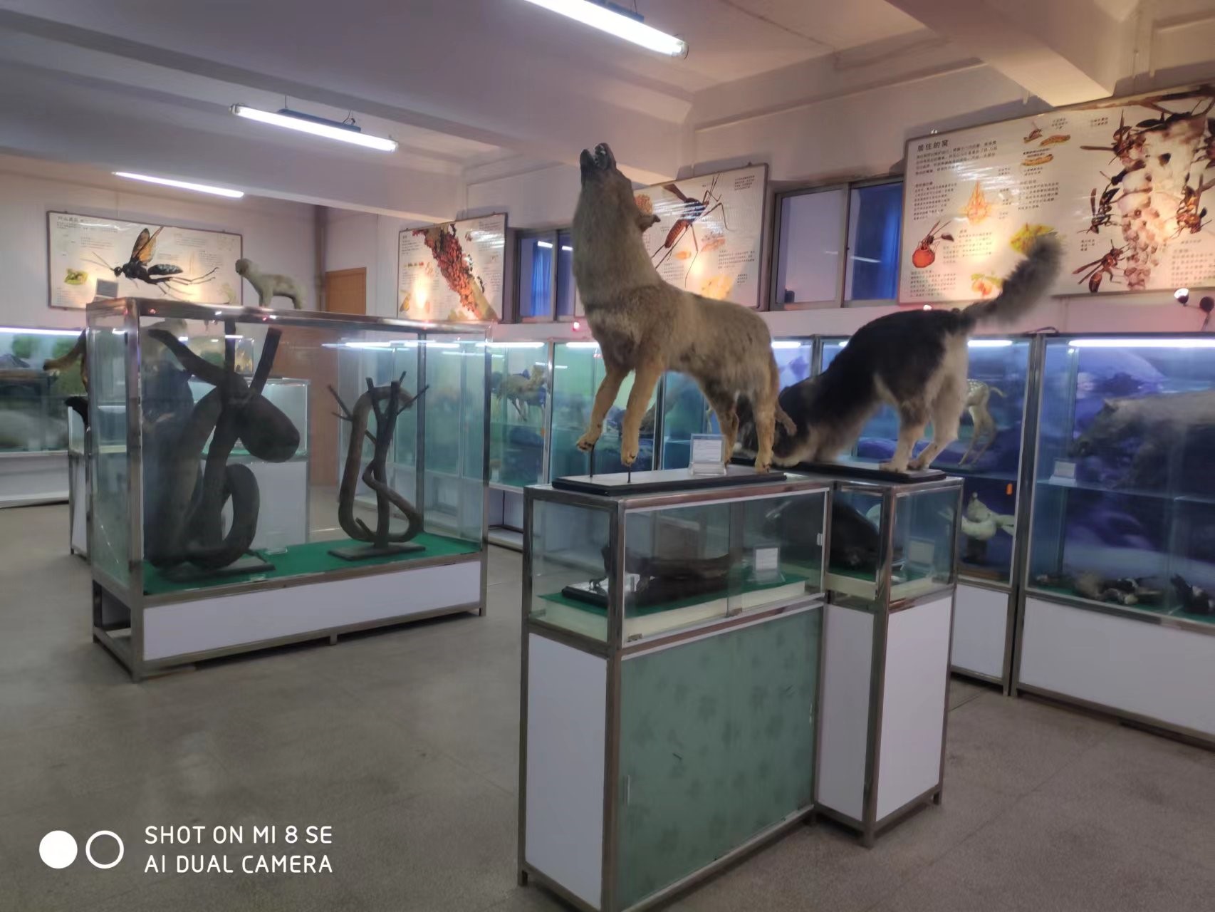 bcf4e6b504044e5ba23318304afead90.jpg bcf4e6b504044e5ba23318304afead90.jpg